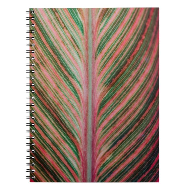 Art-Notebook Notizblock (Vorderseite)