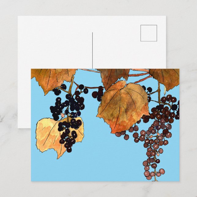 Art Nouveau Frost Trauben Postkarte (Vorne/Hinten)