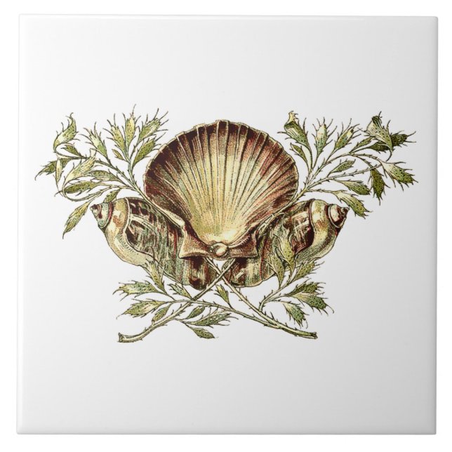 Art Nouveau Seashell Fliese (Vorderseite)