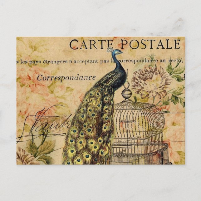 art nouveau Vintage Pfauenfritz Postkarte (Vorderseite)