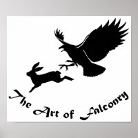 Art of Falconry - Roter Schwanz Hawk