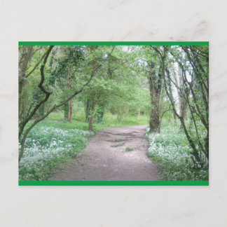 Art Postcard Waldweg 1 Postkarte