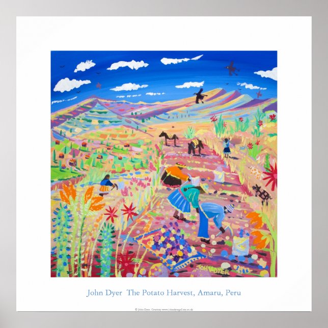 Art Poster: Die Kartoffelernte, Amaru, Peru Poster (Vorne)