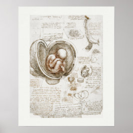 ART POSTER : LEONARDO DA VINCI : STUDIE 1510 - 151