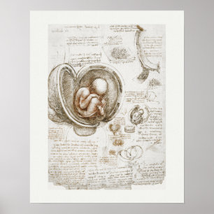 ART POSTER : LEONARDO DA VINCI : STUDIE 1510 - 151