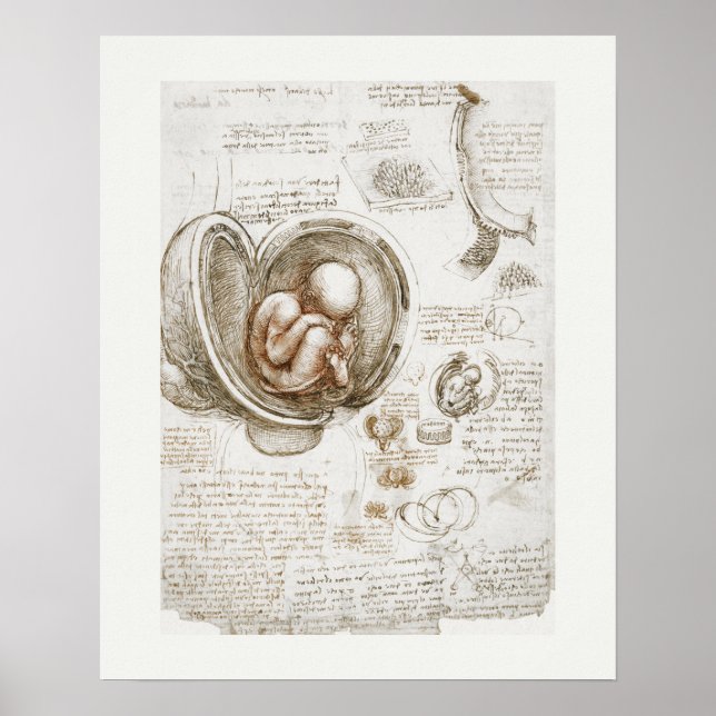 ART POSTER : LEONARDO DA VINCI : STUDIE 1510 - 151 (Vorne)