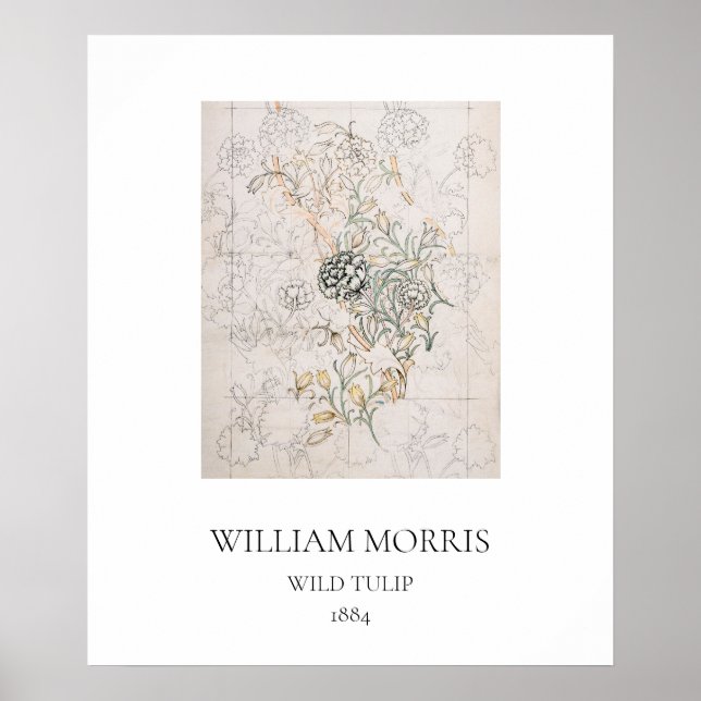 ART POSTER : WILLIAM MORRIS : WILD TULIP : 1884 (Vorne)