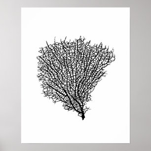 Art print, black coral fan on white poster