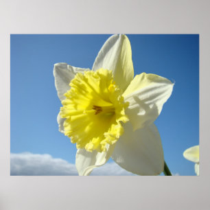 ART PRINTS Yellow Daffodic Blume Leinwand Kunstwer Poster