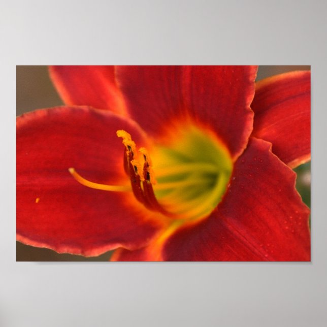 Art von Augle Poster (Vorne)