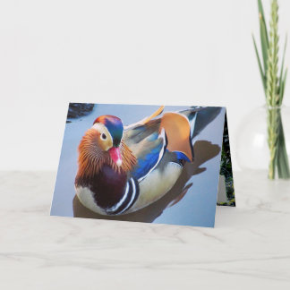 Art von Davey Mandarin Duck Karte