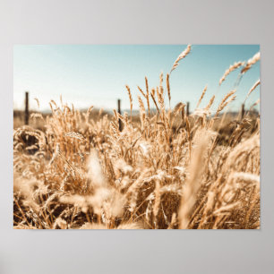 Art & Wall Décor > Plakate & Prints