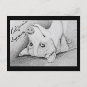 Artaius der Corgi Postkarte