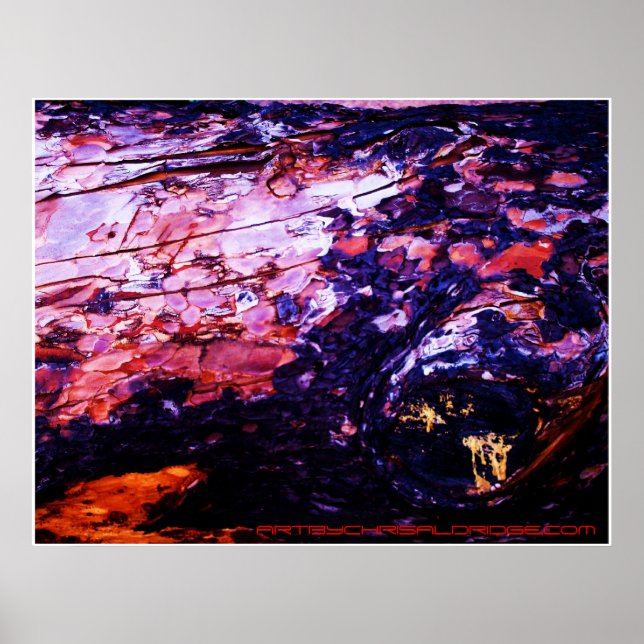 ARTBYCHRISALDRIDGE.COM Poster Nr. 1 (Vorne)