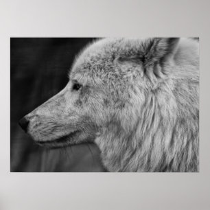 Artc Wolf Poster