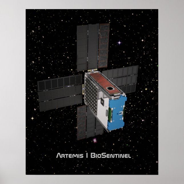Artemis BioSentinel CubeSat Poster (Vorne)
