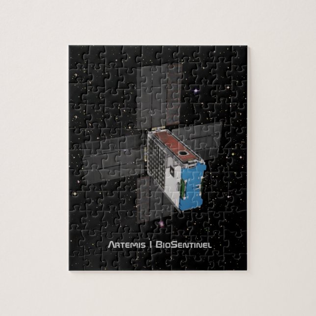 Artemis BioSentinel CubeSat Puzzle (Vertikal)
