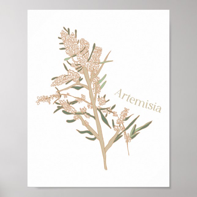 Artemisia Poster (Vorne)