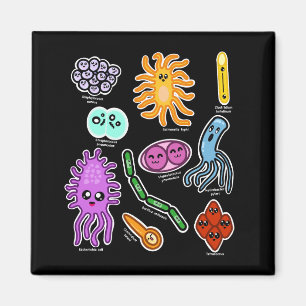 Arten von Bakterien Magnet