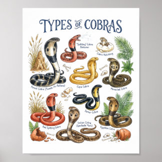 Arten von Kobras Aquarell-Schlange Wildlife-Kunst Poster