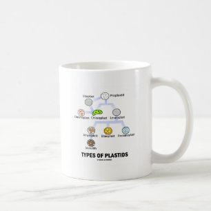 Arten von Plastids Kaffeetasse