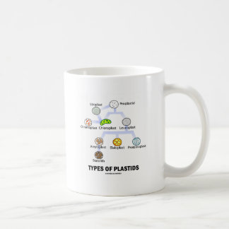 Arten von Plastids Kaffeetasse