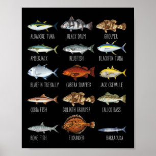 Arten von Salzwasserfischen Art Biologie Fischerei Poster
