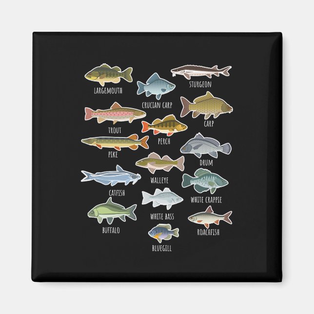 Arten von Süßwasserfischarten Angeln  Magnet (Vorne)