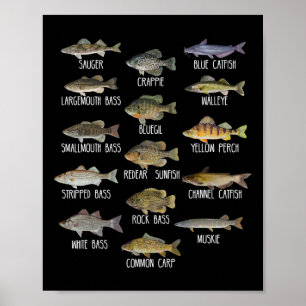 Arten von Süßwasserfischarten Biologie Angeln Poster