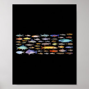 Arten von Süßwasserfischarten Biologie Fischerei Poster