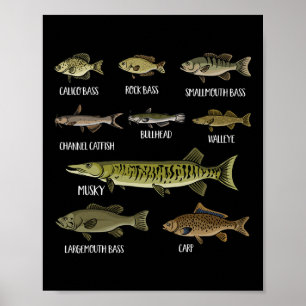 Arten von Süßwasserfischen Arten der Fischerei Poster