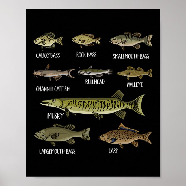 Arten von Süßwasserfischen Arten der Fischerei Poster (Vorne)