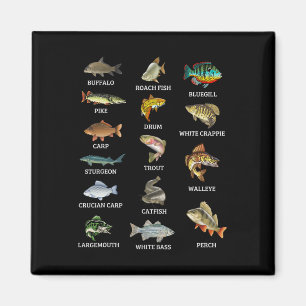 Arten von Süßwasserfischen Fischarten, die Fischer Magnet