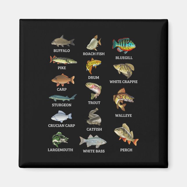 Arten von Süßwasserfischen Fischarten, die Fischer Magnet (Vorne)