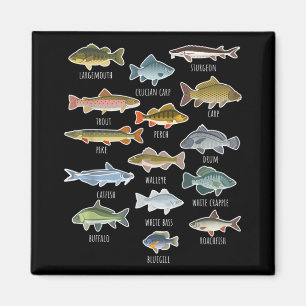 Arten von Süßwasserfischen Magnet