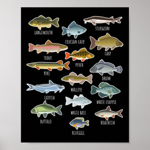 Arten von Süßwasserfischen Poster