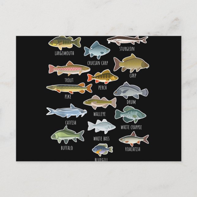 Arten von Süßwasserfischen Postkarte (Vorderseite)