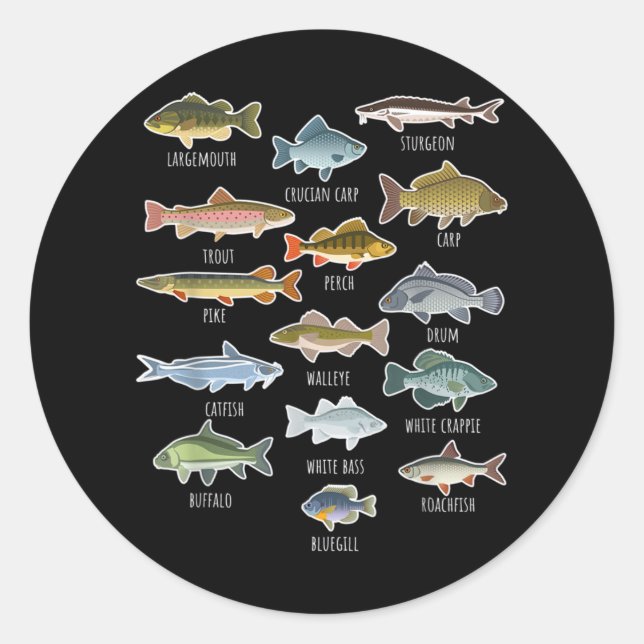 Arten von Süßwasserfischen Runder Aufkleber (Vorderseite)
