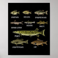 Arten von Süßwasserfischen Sorten Arten Angeln 
