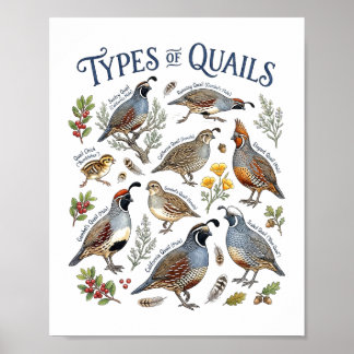 Arten von Wachteln Aquarell Vogel Wildlife-Kunst Poster