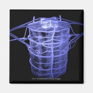 Arterien, die Teil der Wirbelsäule umgeben Magnet