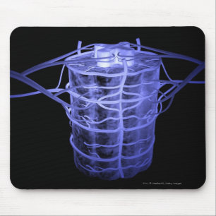 Arterien, die Teil der Wirbelsäule umgeben Mousepad