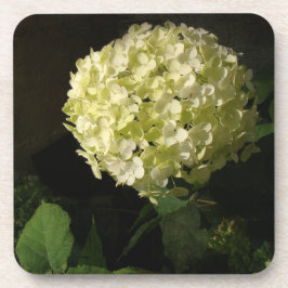 Artful Annabelle Hydrangea Bloom Getränkeuntersetzer