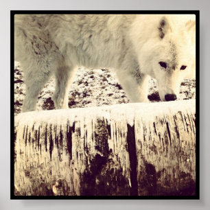 Arthur der Wolf Poster