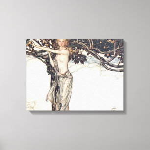 Arthur Rackham Freya The Fair One Leinwanddruck