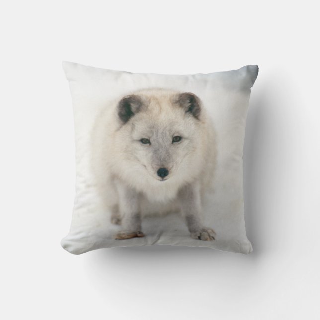 Artic Fox Kissen (Vorderseite)