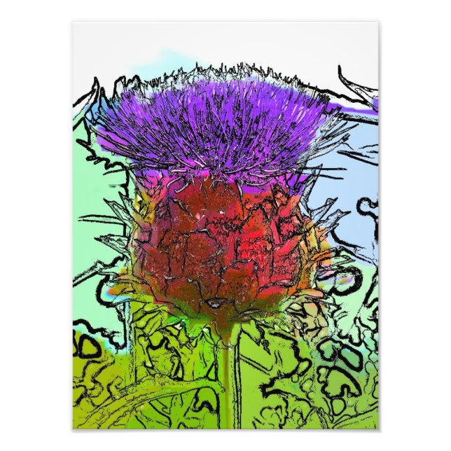 ARTICHOKE BLUME FOTODRUCK (Vorne)