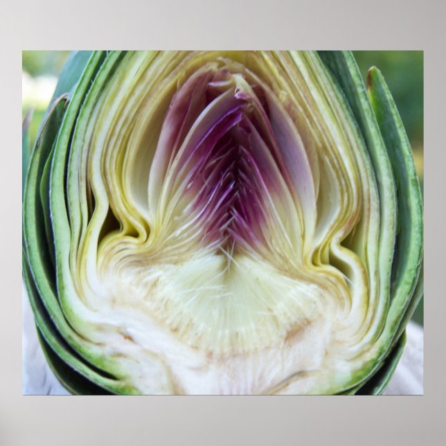 Artichoke Heart Canvas Print Poster (Vorne)