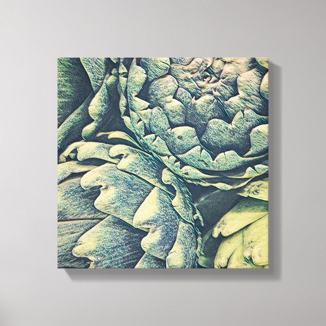 Artichoke Leinwanddruck (Vorderseite)
