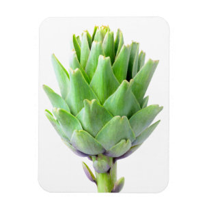 Artichoke Magnet